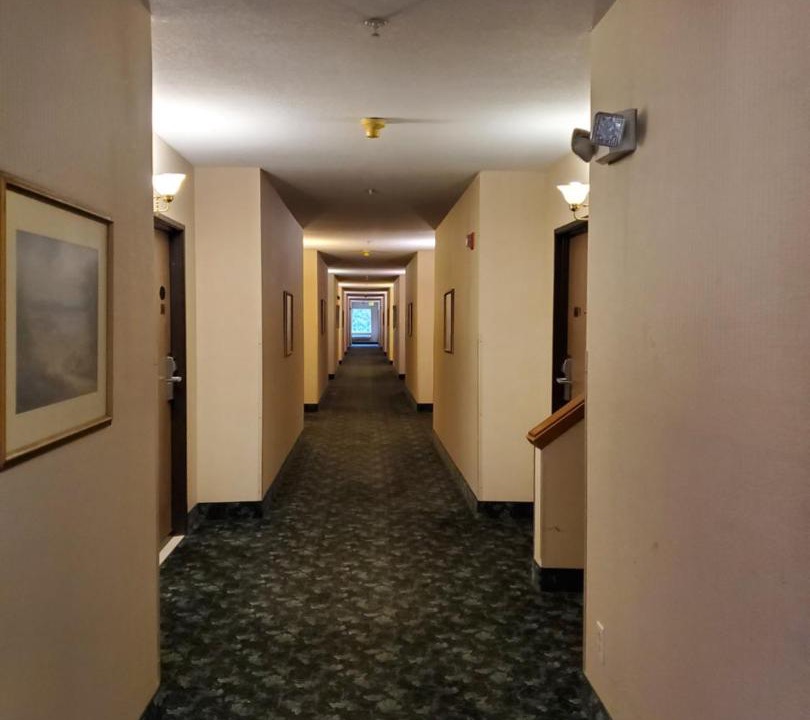 Photo of Others in Cornwall Park