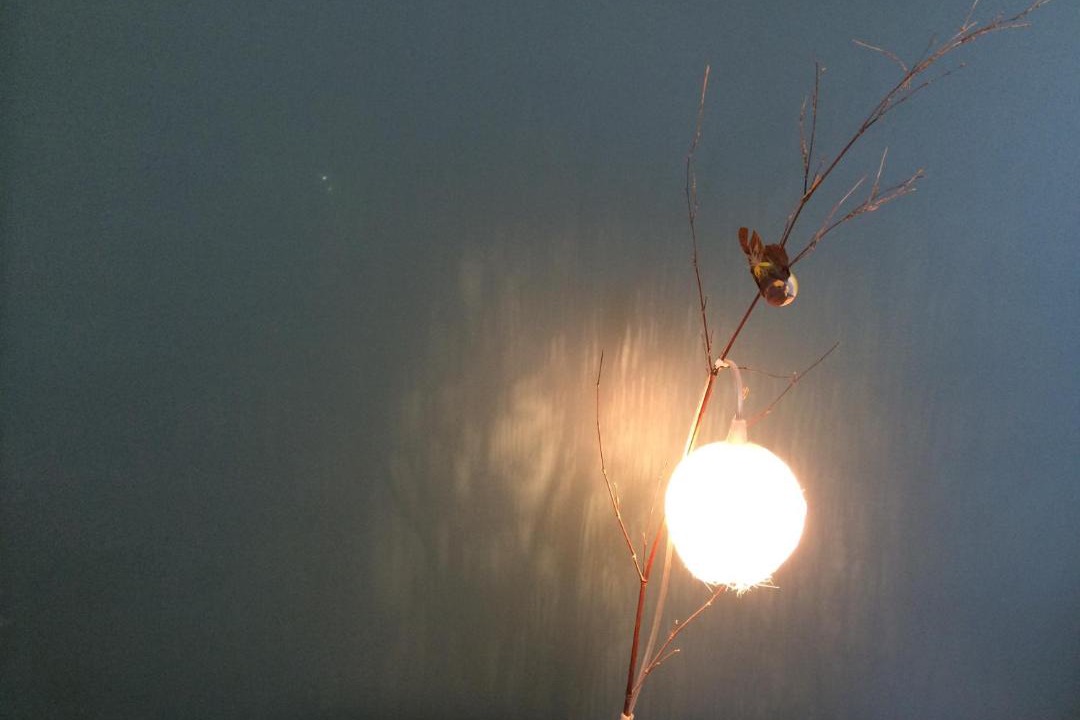 Photo of Bathroom in Montrichard