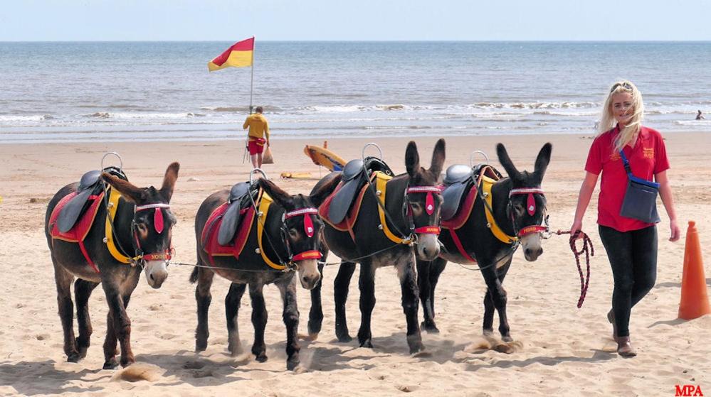 Photo of Human In Picture in Ingoldmells