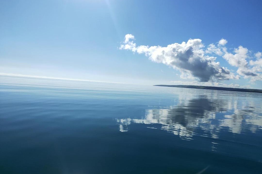 Photo of Others in Island Beach