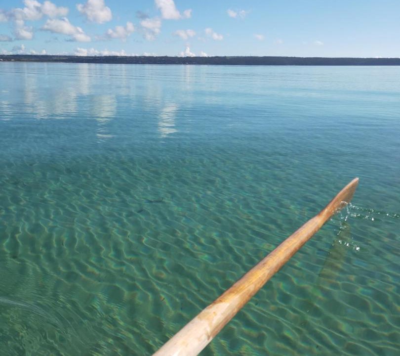 Photo of Others in Island Beach