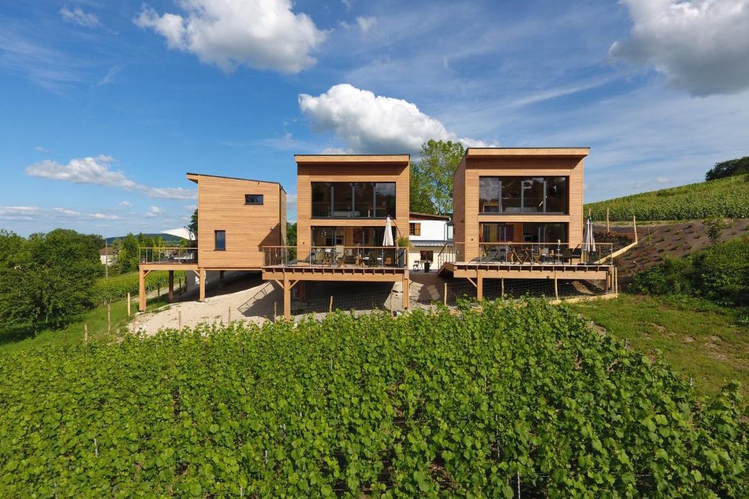 Photo of Others in Chigny-les-Roses