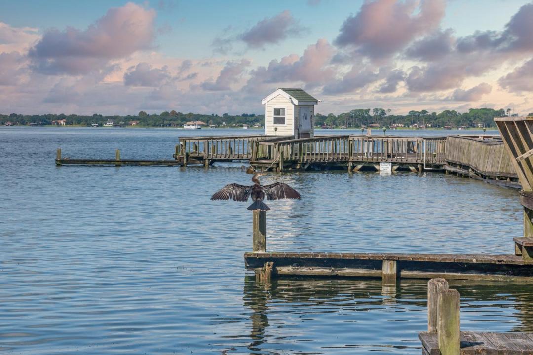 Photo of Others in Mount Dora