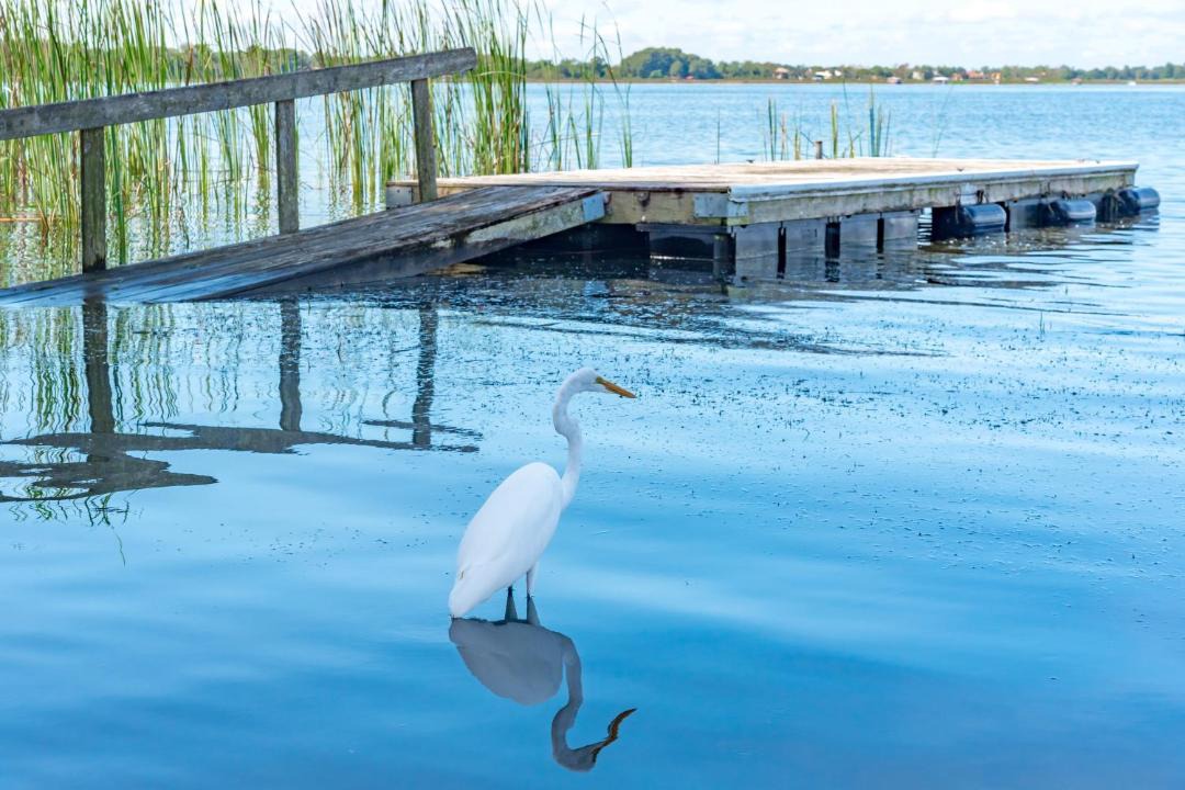 Photo of Others in Mount Dora