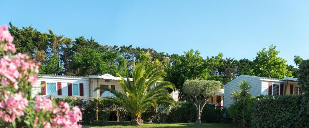 Photo of Others in Serignan