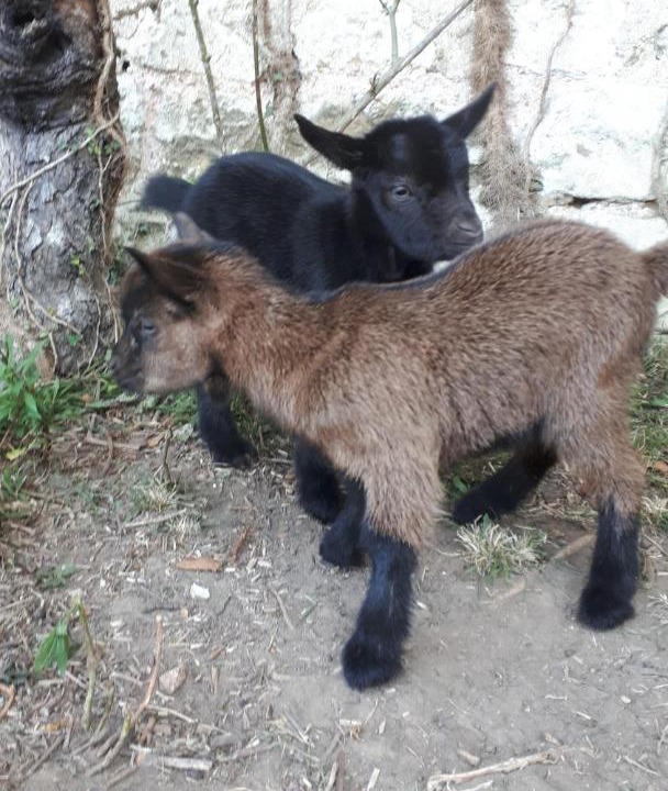 Photo of Others in Saint-Pierre-d'Autils