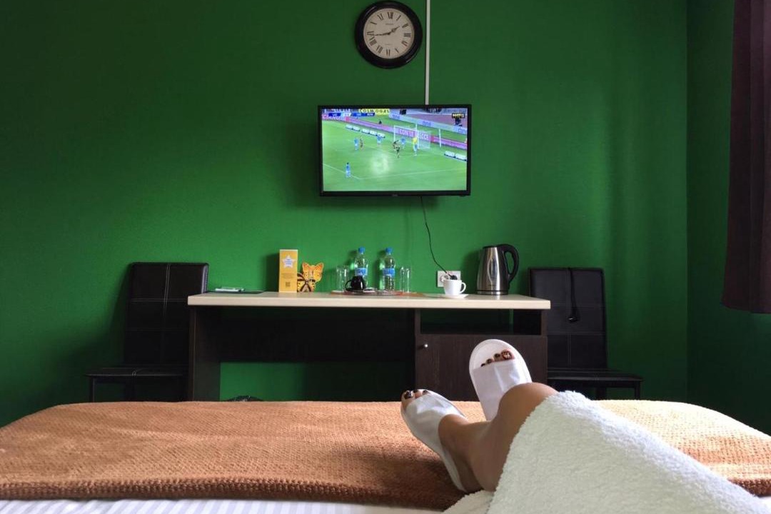 Photo of Bedroom in Skopin