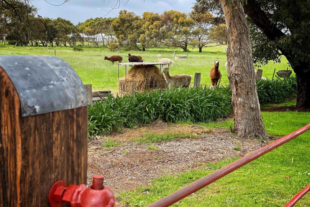 Photo of Others in Port Fairy