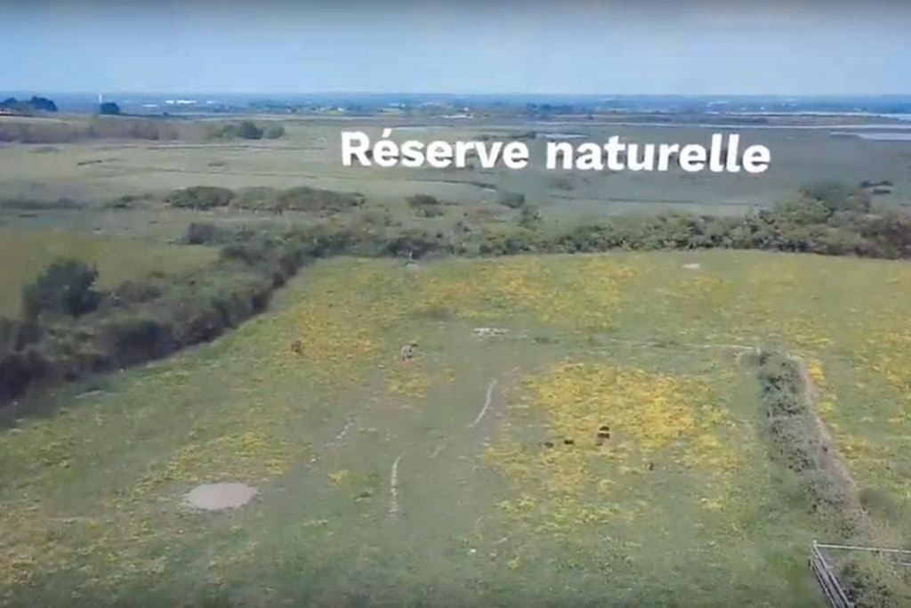 Photo of Others in Sene