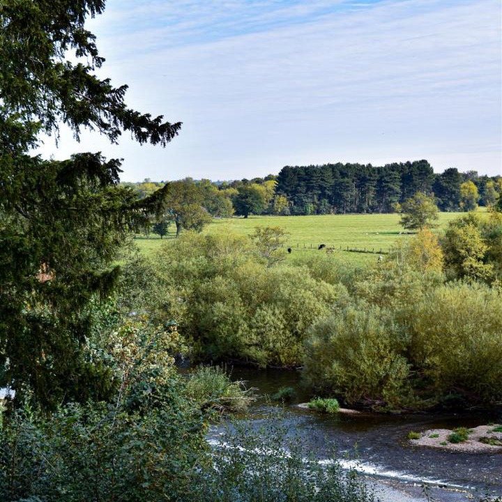 Photo of Others in Derbyshire