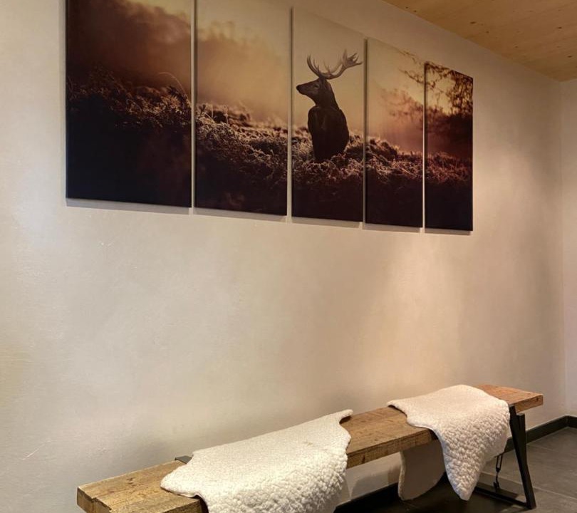 Photo of Others in Le Grand-Bornand