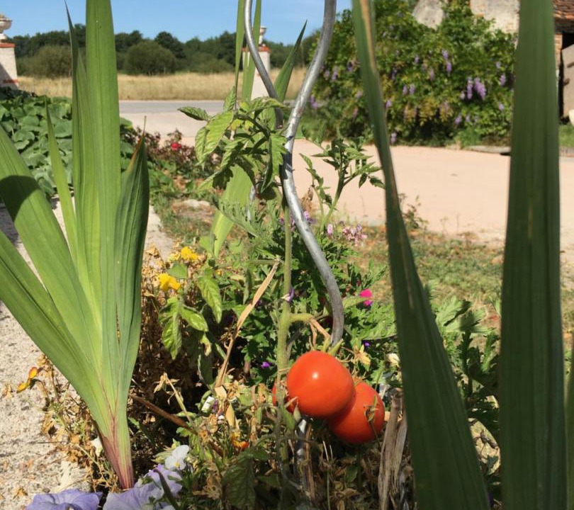 Photo of Others in Thoury