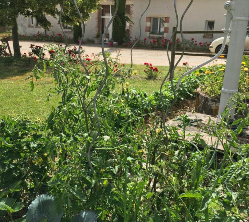 Photo of Others in Thoury