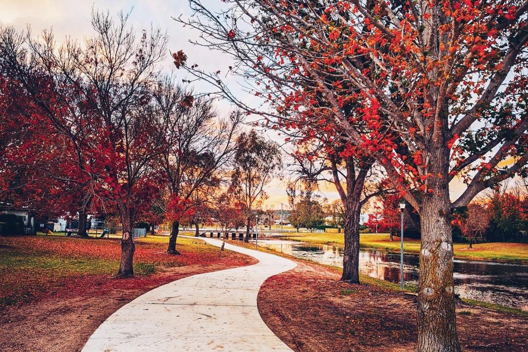 Photo of Others in Stanthorpe