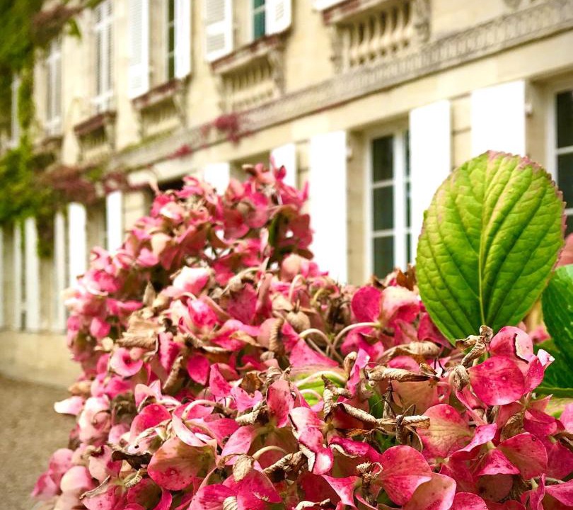 Photo of Buildings in Sainte-Bazeille