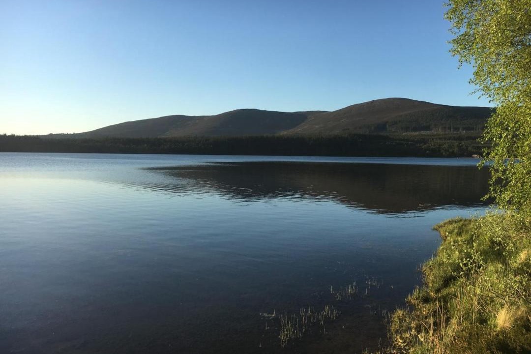 Photo of Others in Coylumbridge