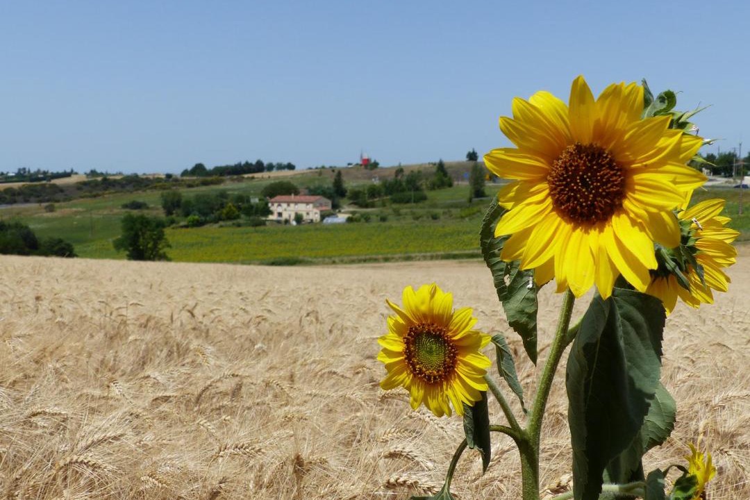 Photo of Others in Nailloux