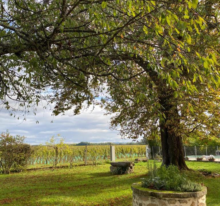 Photo of Others in Barsac