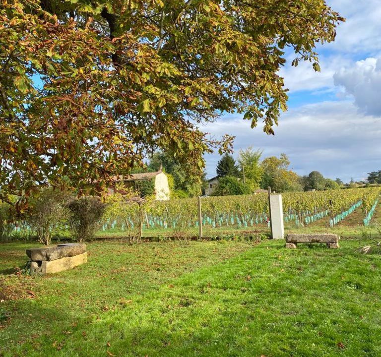 Photo of Others in Barsac