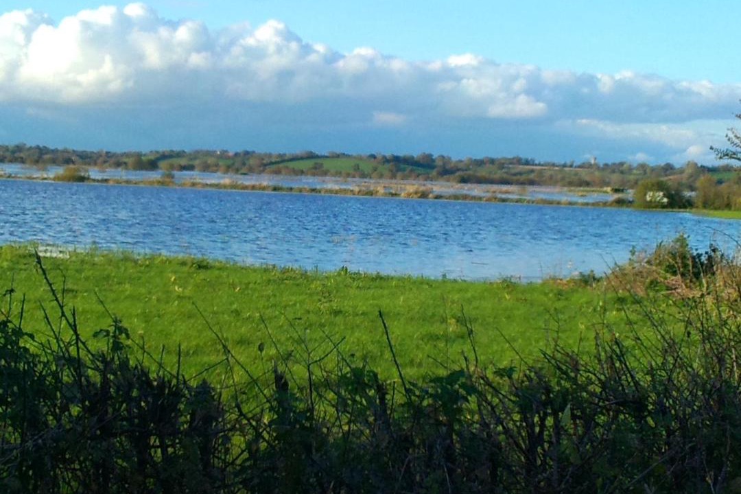 Photo of Others in Graignes-Mesnil-Angot