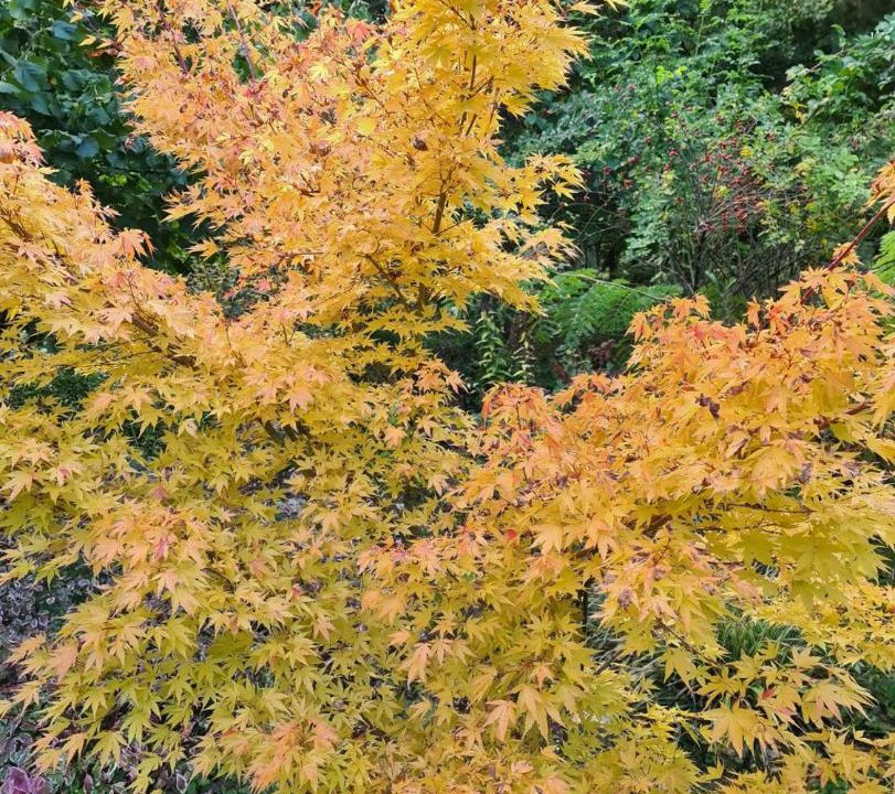 Photo of Others in Watronville