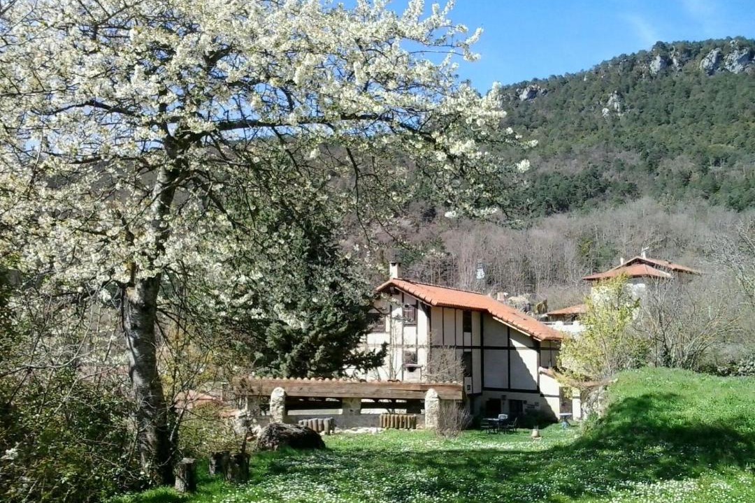 Photo of Others in Sobron