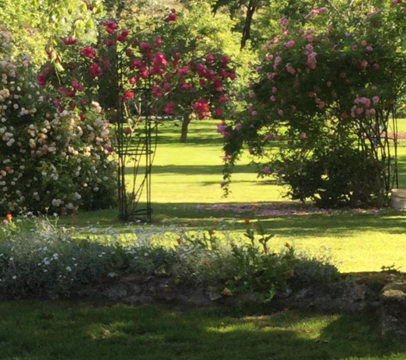 Photo of Others in Rille