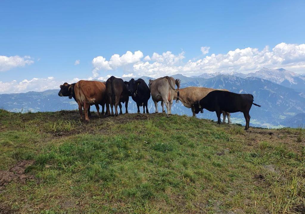 Photo of Others in Urmein