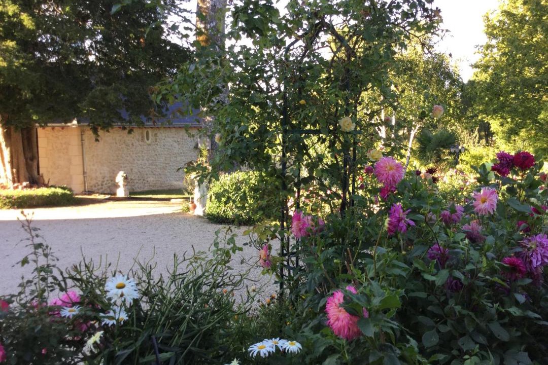 Photo of Others in Rille