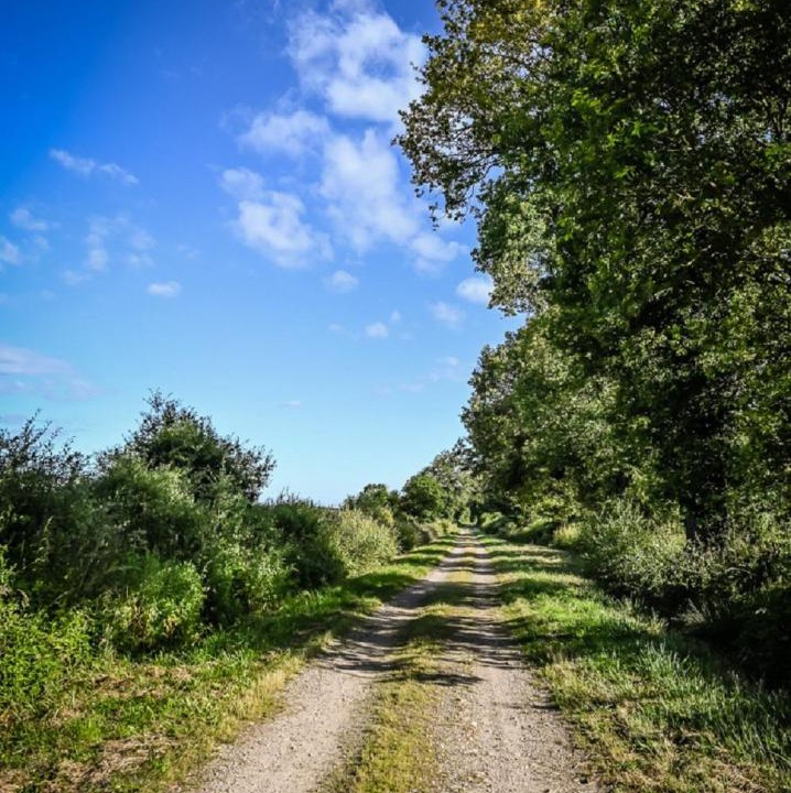 Photo of Others in Sainte-Severe-sur-Indre
