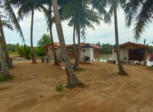 Photo of Buildings in Kampung Badang