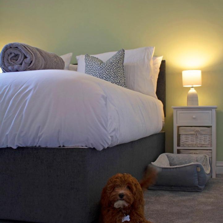 Photo of Bedroom in Berwick