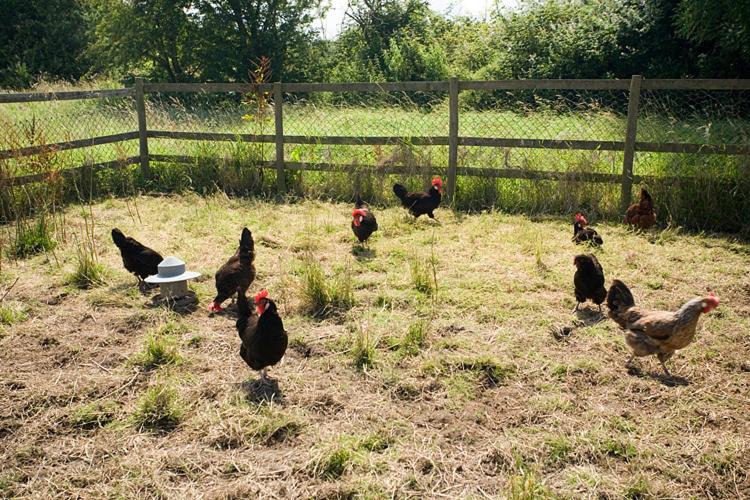 Photo of Others in Hewish