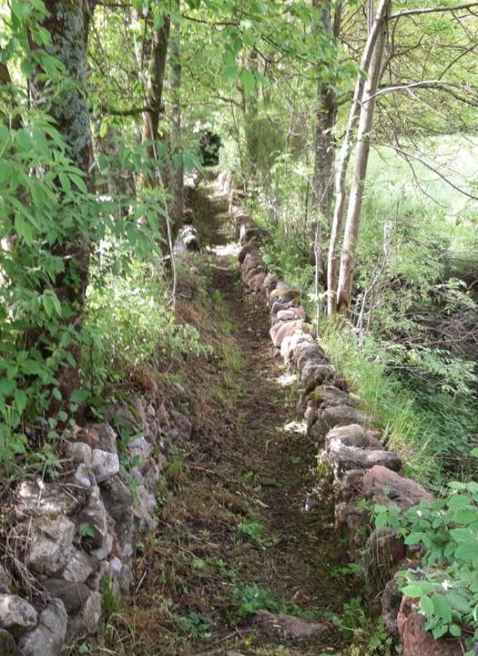 Photo of Others in Pedra