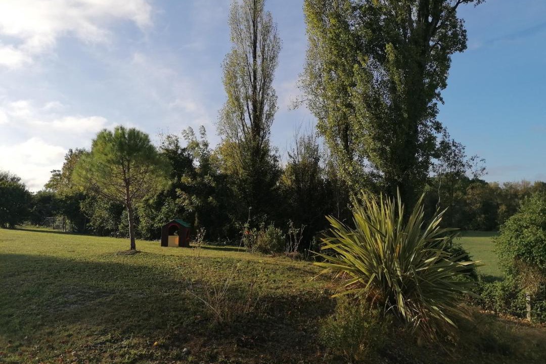 Photo of Outdoor in Pereuil