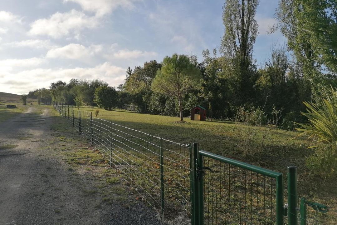 Photo of Others in Pereuil