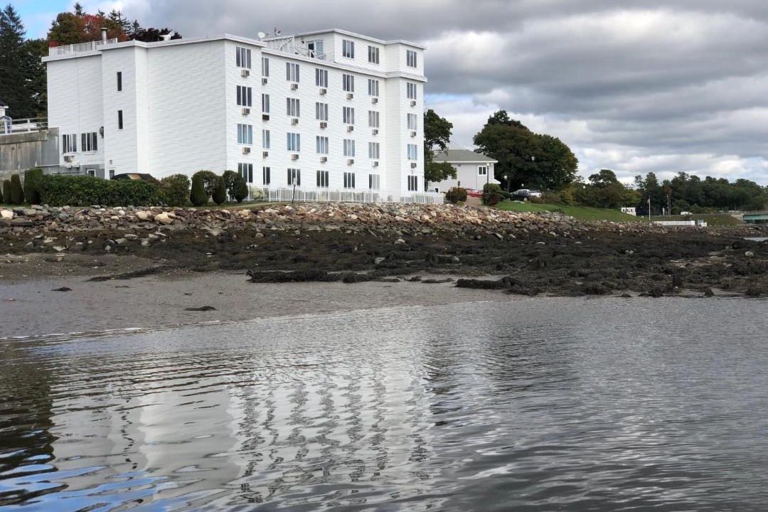 Photo of Others in Bucksport