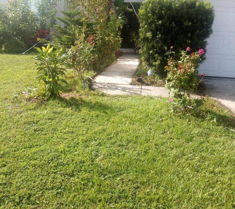 Photo of Others in Poinciana