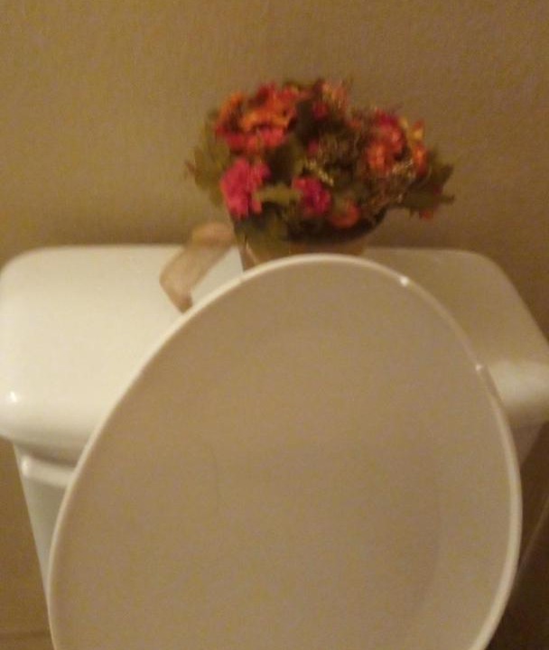 Photo of Bathroom in Poinciana