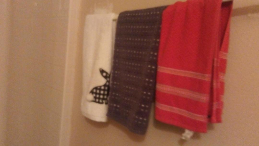 Photo of Others in Poinciana