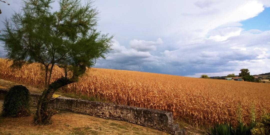 Photo of Others in Nanteuil-de-Bourzac
