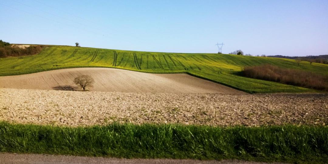 Photo of Others in Nanteuil-de-Bourzac