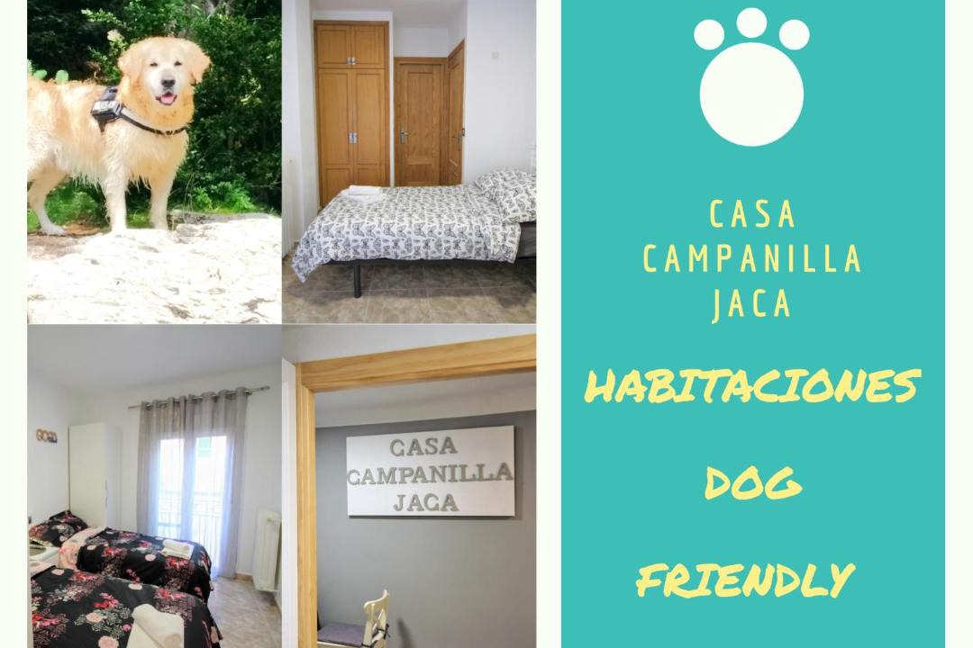 Photo of Others in Jaca