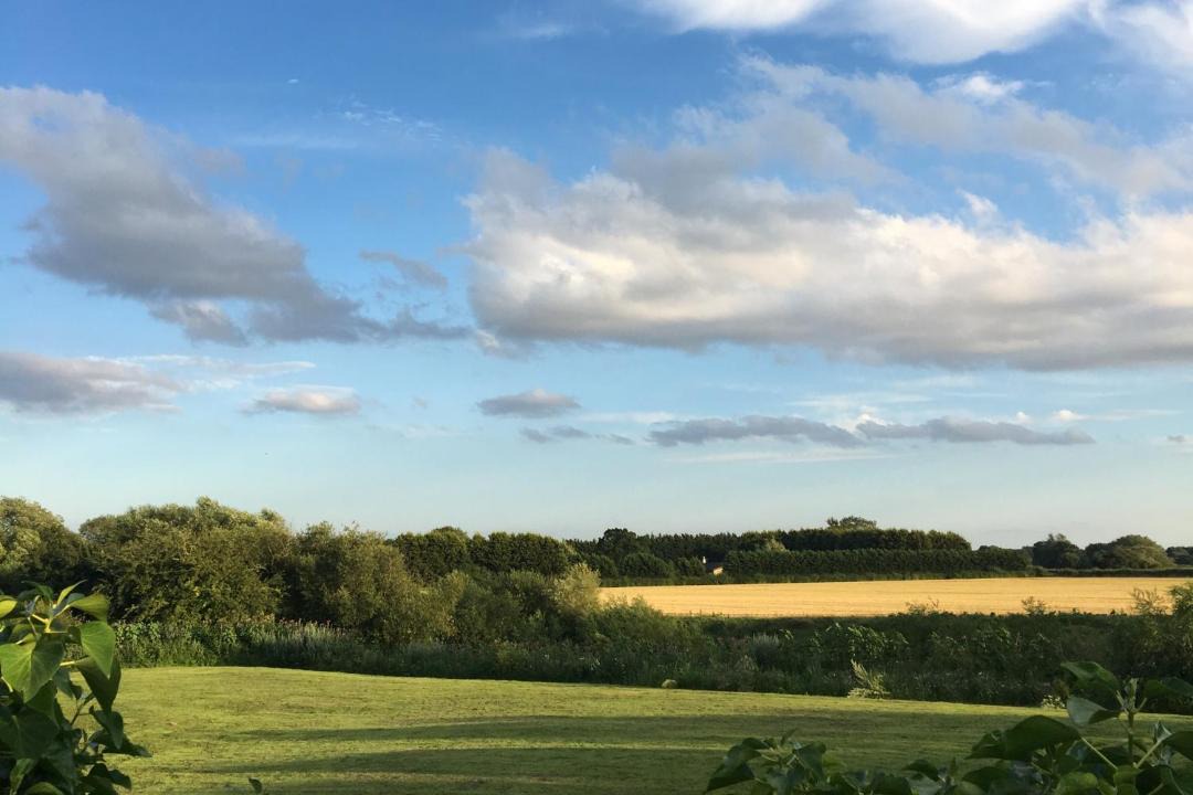 Photo of Others in York