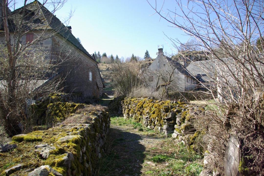 Photo of Others in Albepierre-Bredons