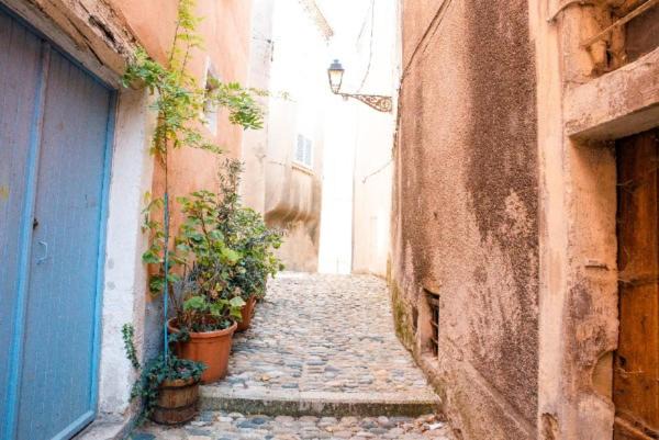 Photo of Others in Crest