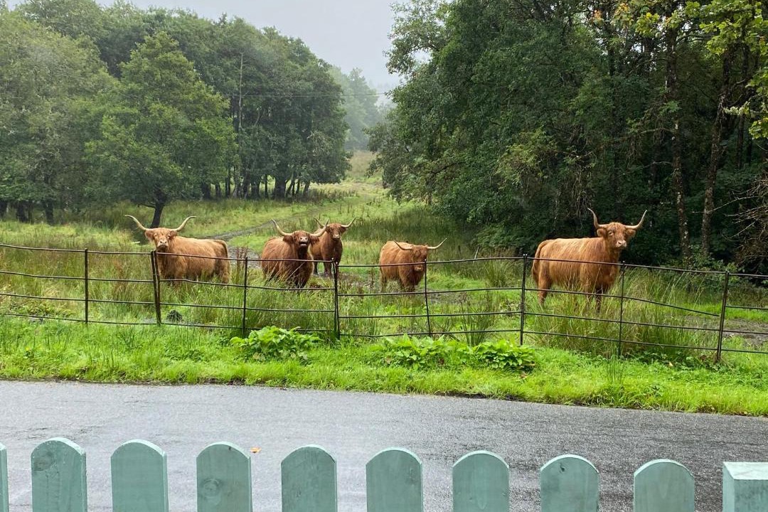 Photo of Others in Dalmally