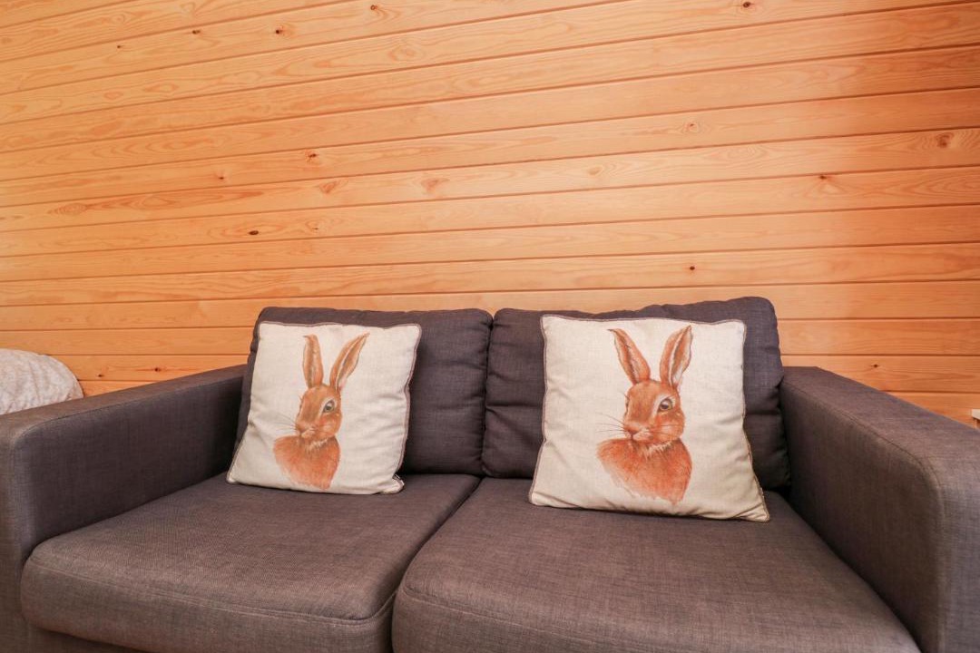 Photo of Livingroom in Berkeley