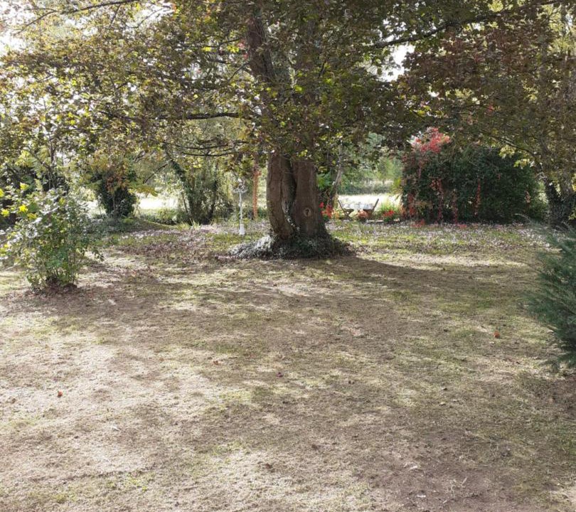 Photo of Others in Beaulieu-les-Loches