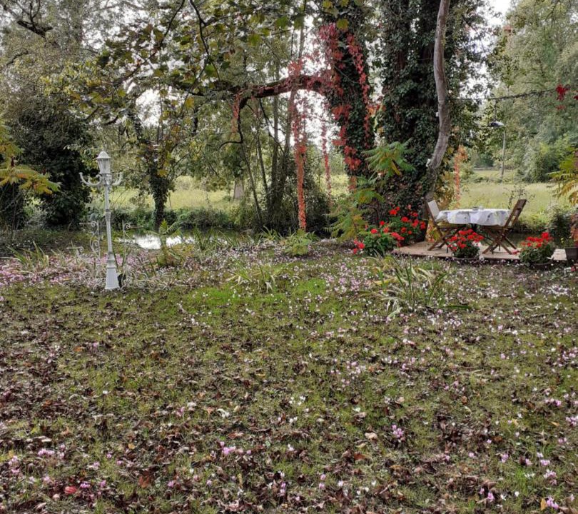 Photo of Others in Beaulieu-les-Loches
